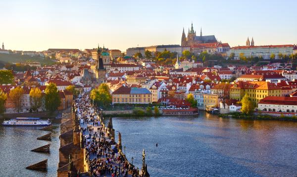 Prague, Data Literacy, and a Brain That Defies Physics